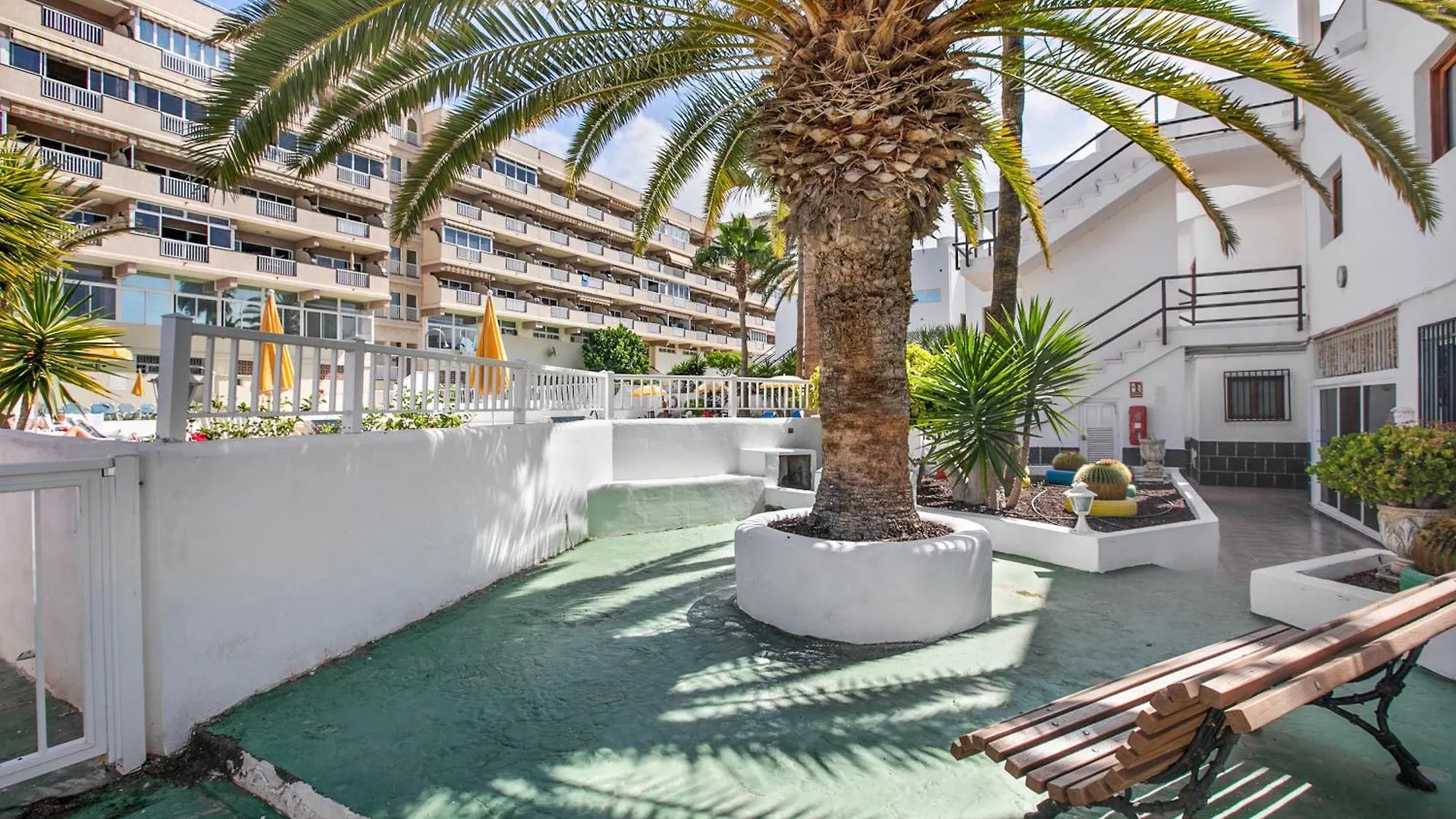 Aguaviva Perfect Holiday Callao Salvaje